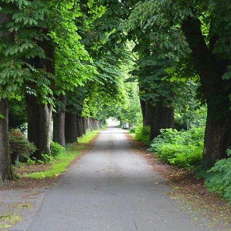 Wohnung Am Weserradweg Deesberg Exterior foto